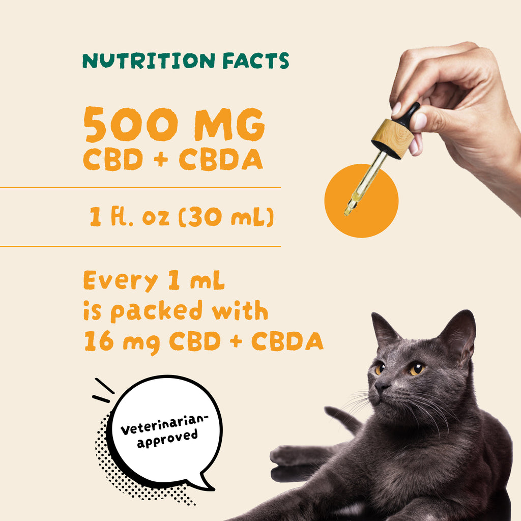 cat CBD tincture
