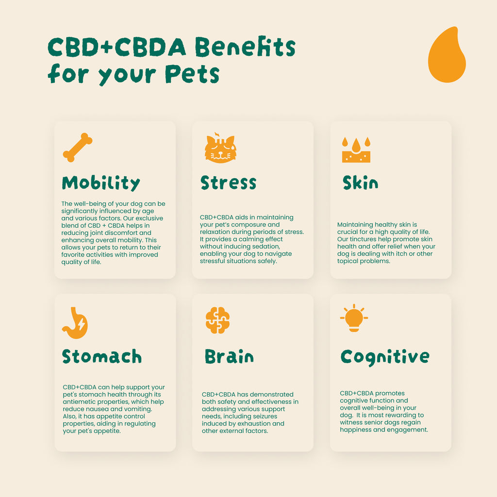 CBDA for pets